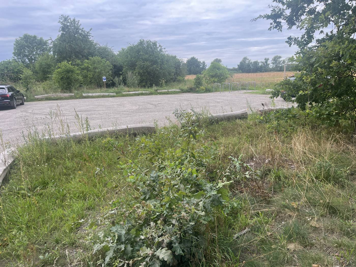Biosphärenreservat Drömling — Parkplatz und Zugang