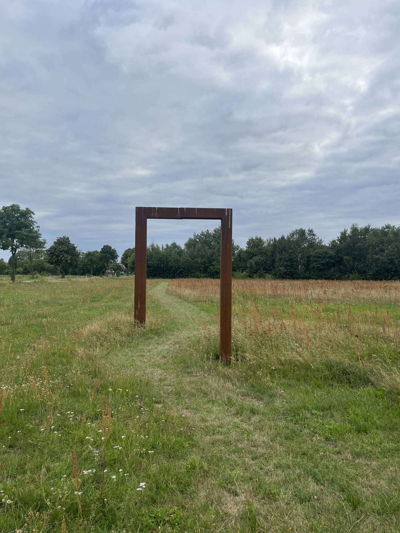 Biosphärenreservat Drömling — Anamorphose, Frontalansicht