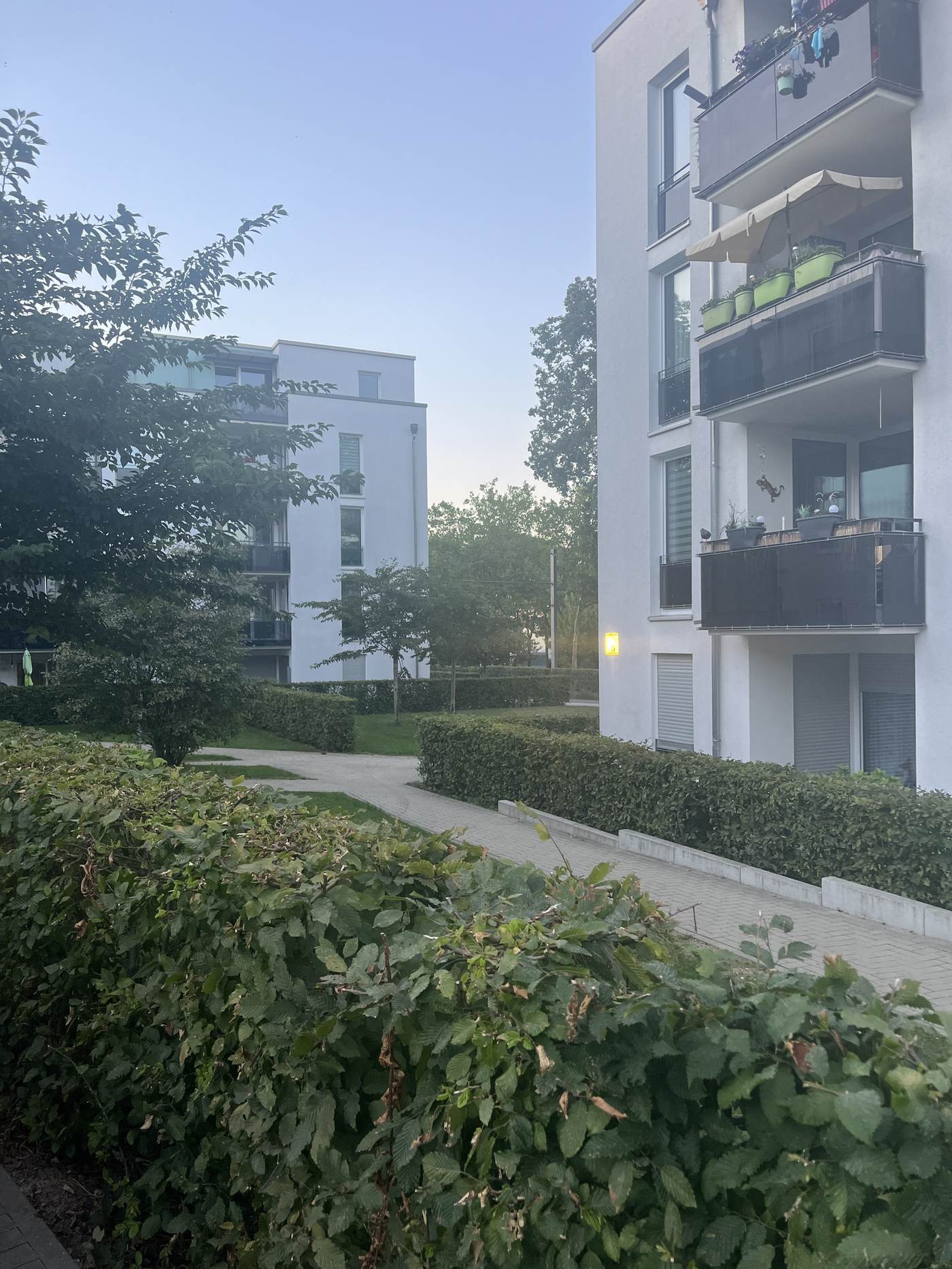 Quartiersentwicklung Helleböhn, Kassel — Wegeverbindung mit neuen Pflanzungen