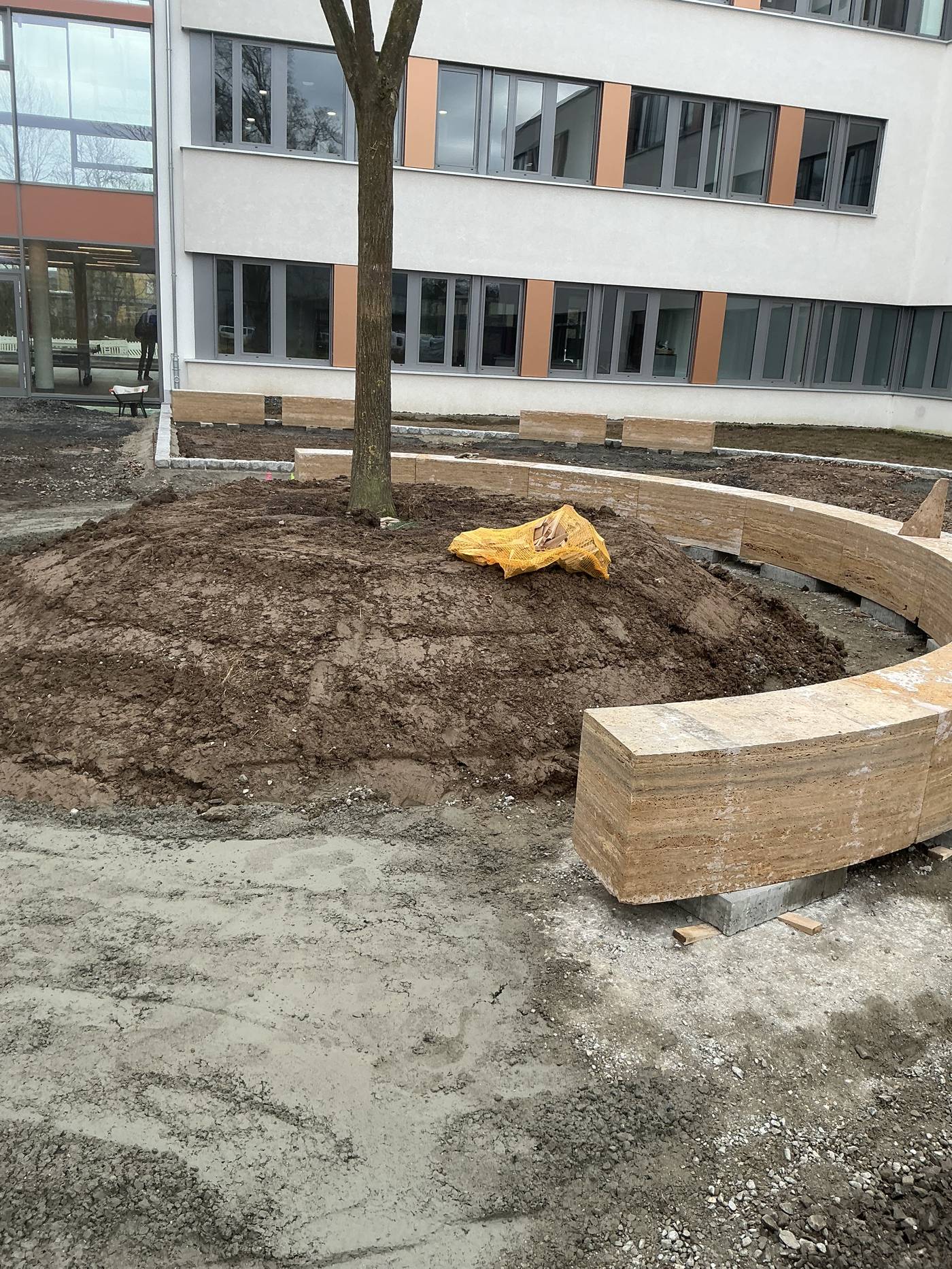 Städtische Werke Kassel — neue Baumpflanzung im Innenhof