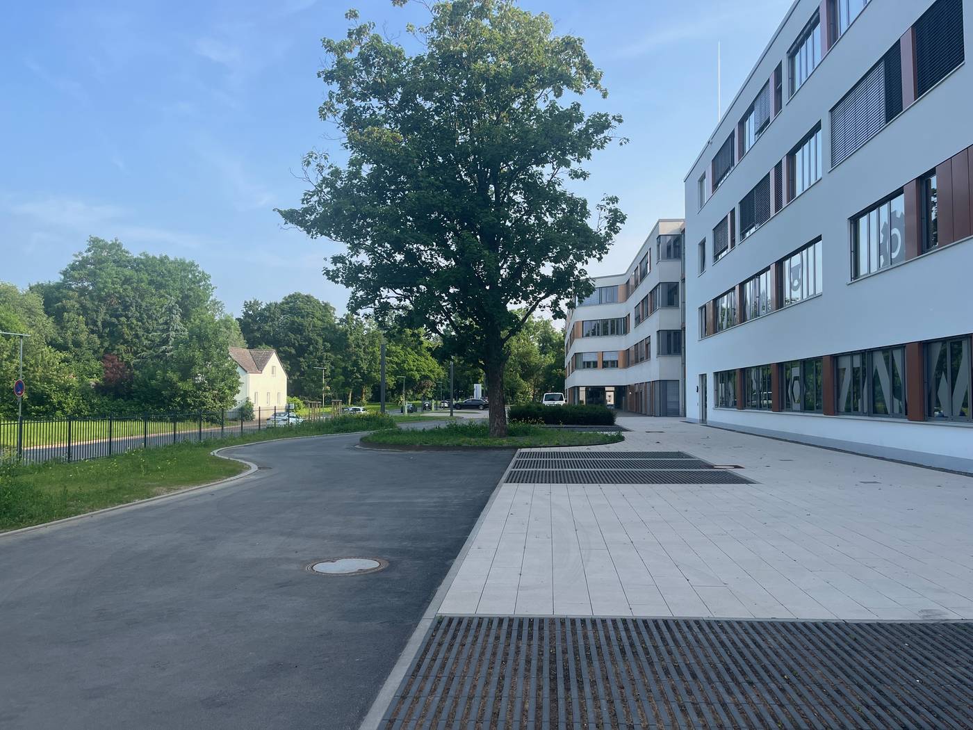 Städtische Werke Kassel — Baum in der Zufahrt