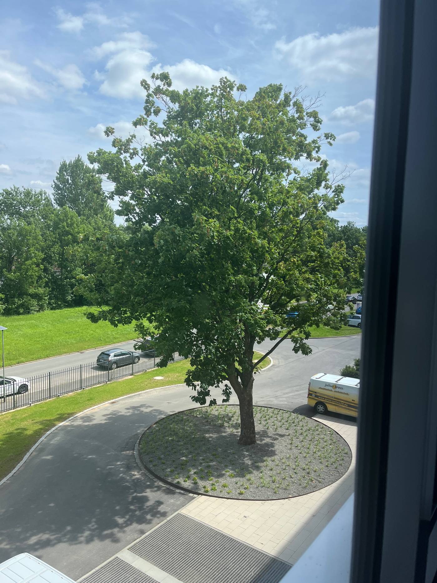 Städtische Werke Kassel — Blick auf die Zufahrt mit Baumbestand