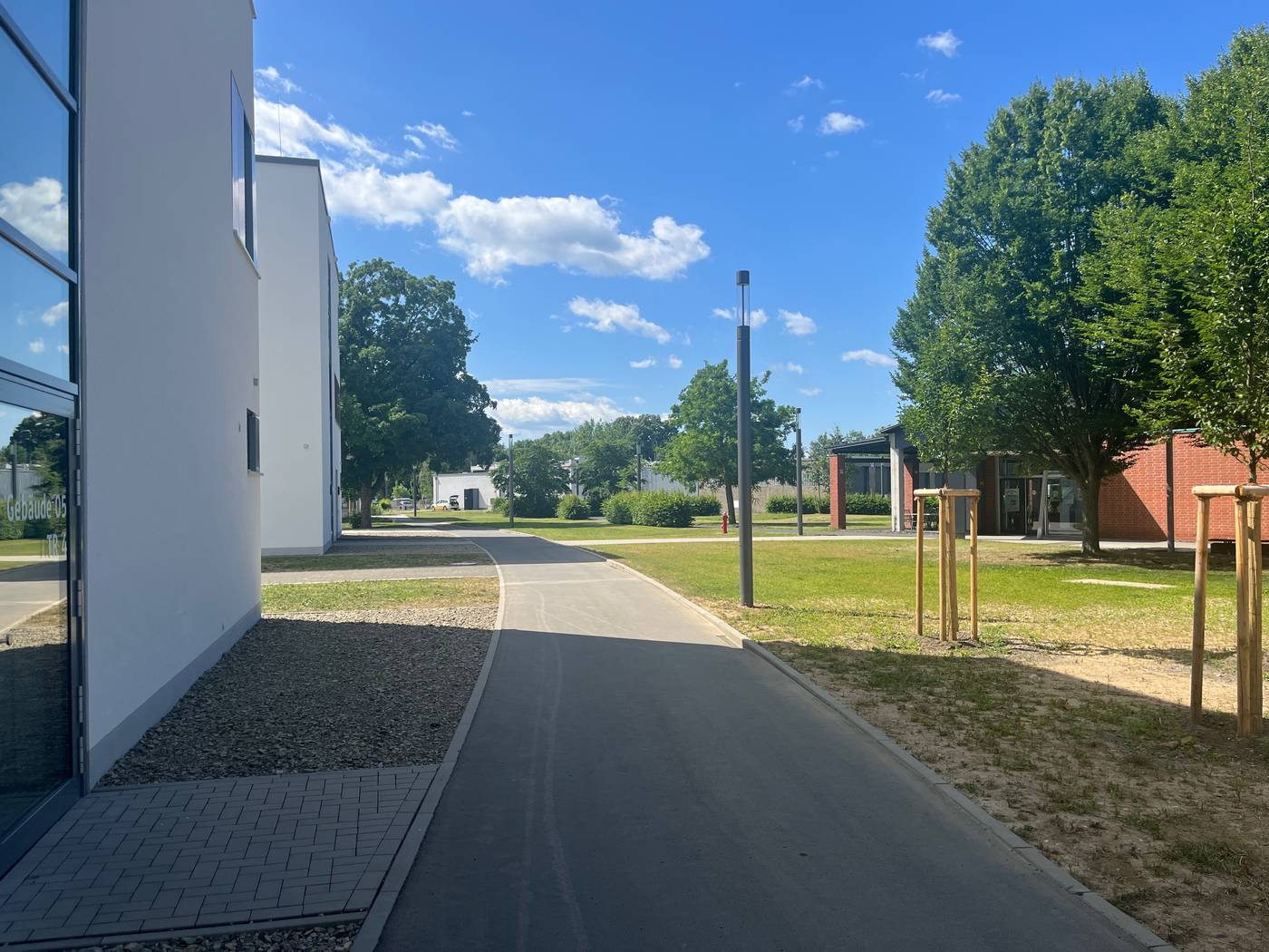 Städtische Werke Kassel — Weg zwischen Gebäude 05 und neuen Baumpflanzungen